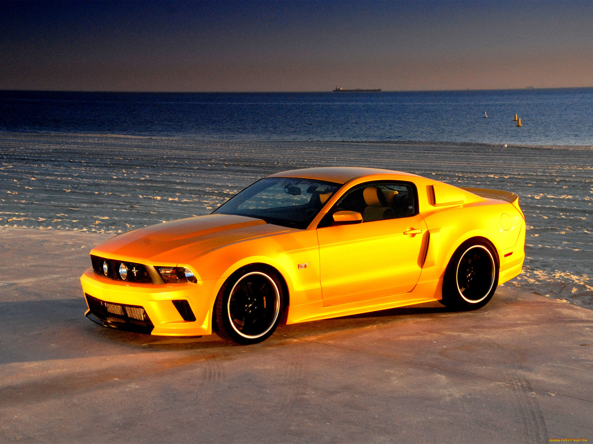 , mustang